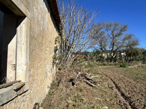 Quinta T5 com Projeto em Aprovação - Rio Maior