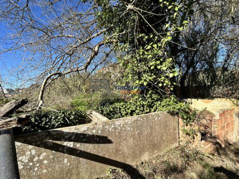 Quinta T5 com Projeto em Aprovação - Rio Maior