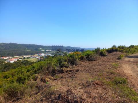 Terreno 11.000m2 - Com Viabilidade de Construção - Nazaré