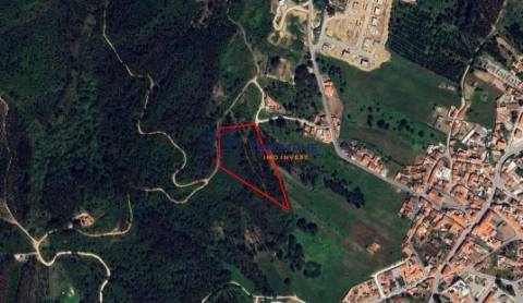 Terreno 11.000m2 - Com Viabilidade de Construção - Nazaré