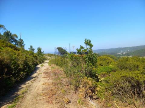 Terreno 11.000m2 - Com Viabilidade de Construção - Nazaré