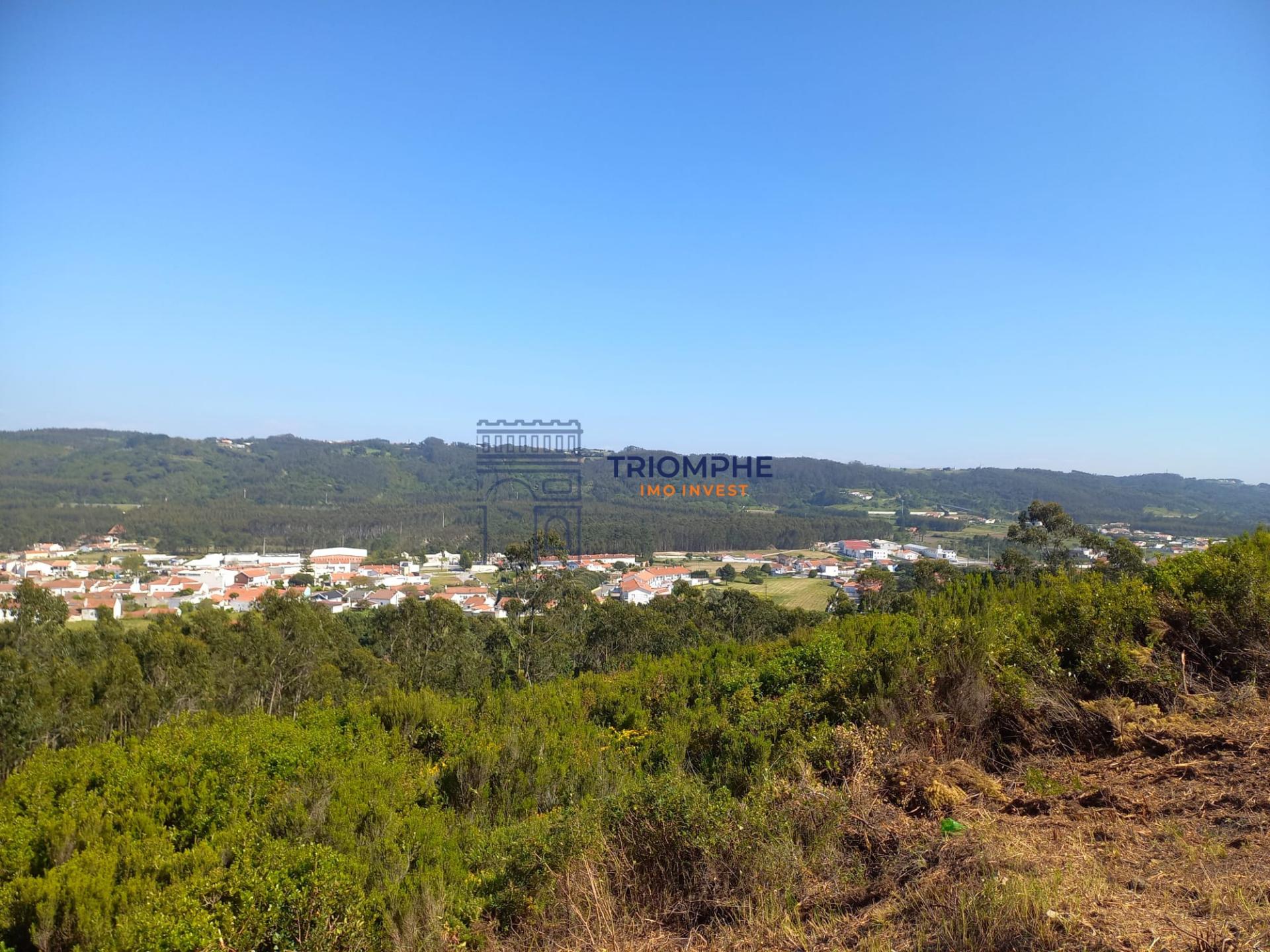Terreno 11.000m2 - Com Viabilidade de Construção - Nazaré
