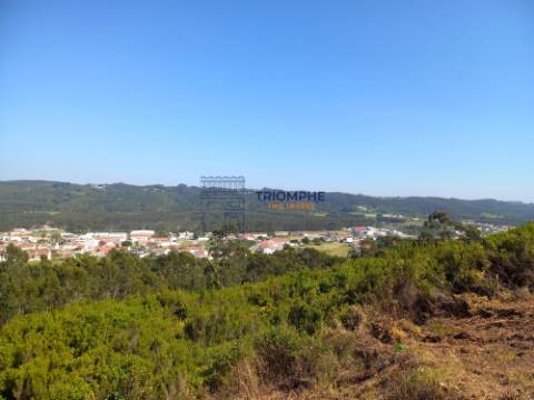 Terreno 11.000m2 - Com Viabilidade de Construção - Nazaré