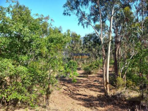 Terreno 11.000m2 - Com Viabilidade de Construção - Nazaré