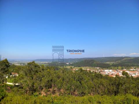 Terreno 11.000m2 - Com Viabilidade de Construção - Nazaré
