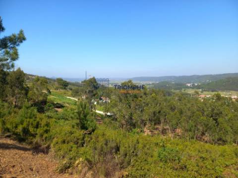 Terreno 11.000m2 - Com Viabilidade de Construção - Nazaré