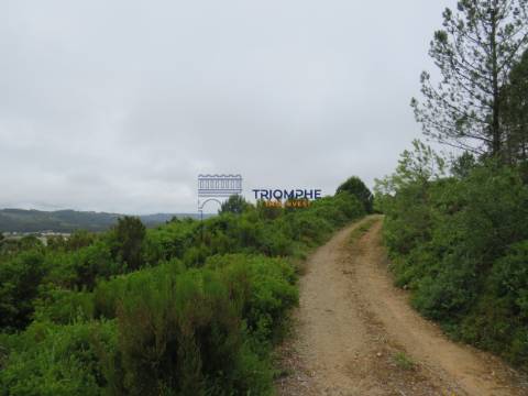 Terreno 11.000m2 - Com Viabilidade de Construção - Nazaré