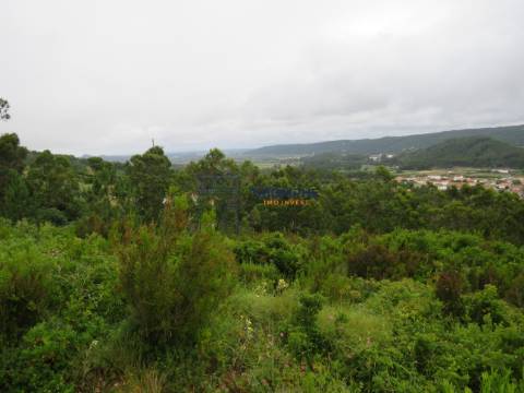 Terreno 11.000m2 - Com Viabilidade de Construção - Nazaré