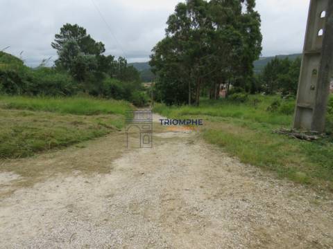 Terreno 11.000m2 - Com Viabilidade de Construção - Nazaré