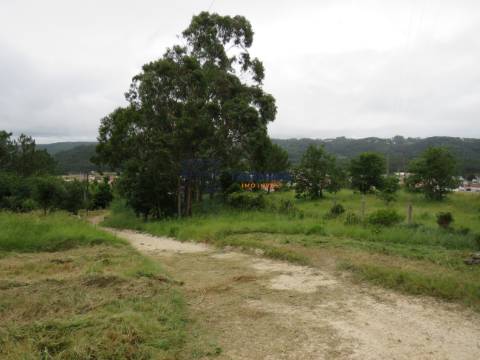 Terreno 11.000m2 - Com Viabilidade de Construção - Nazaré