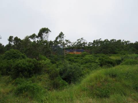 Terreno 11.000m2 - Com Viabilidade de Construção - Nazaré