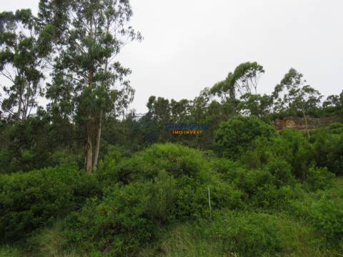 Terreno 11.000m2 - Com Viabilidade de Construção - Nazaré