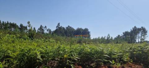 Terreno Rústico Pombal