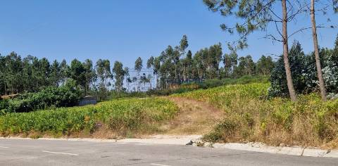 Terreno Rústico Pombal