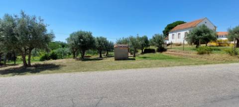 Terreno Rústico - Praia do Ribatejo, Vila Nova da Barquinha