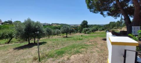 Terreno Rústico - Praia do Ribatejo, Vila Nova da Barquinha