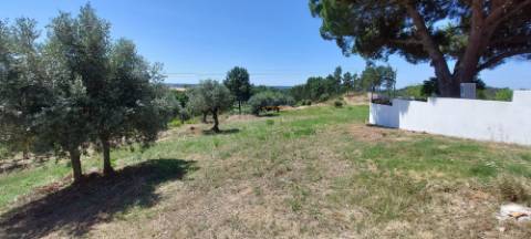 Terreno Rústico - Praia do Ribatejo, Vila Nova da Barquinha