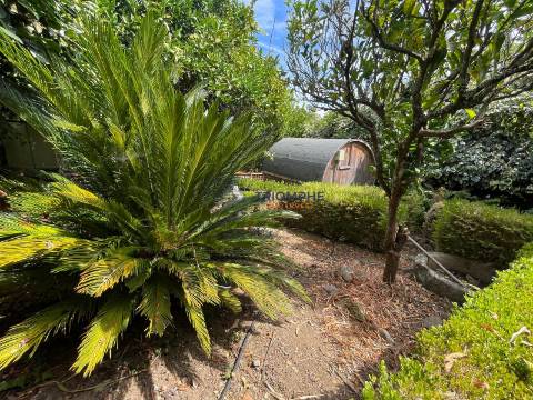 Moradia Rústica com Sauna - Castanheira de Pêra