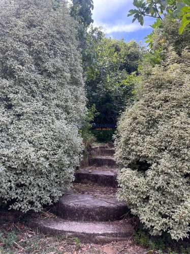 Moradia Rústica com Sauna - Castanheira de Pêra