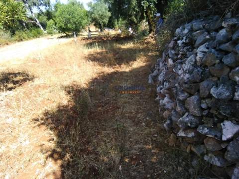 Moradia T5 para recuperar em Pelmá