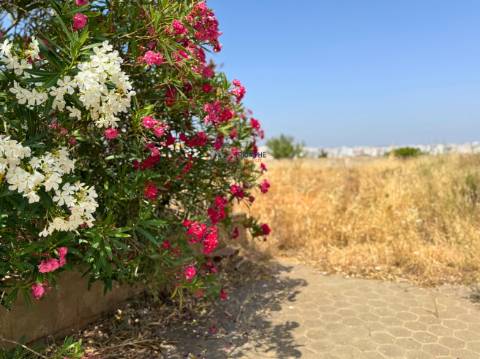 Moradia T5 com Vista Excecional