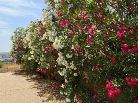 Moradia T5 com Vista Excecional