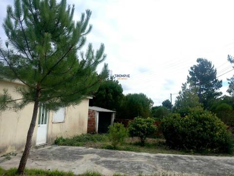 Moradia T1 inserida lote terreno 646m2 Pataias e Martingança