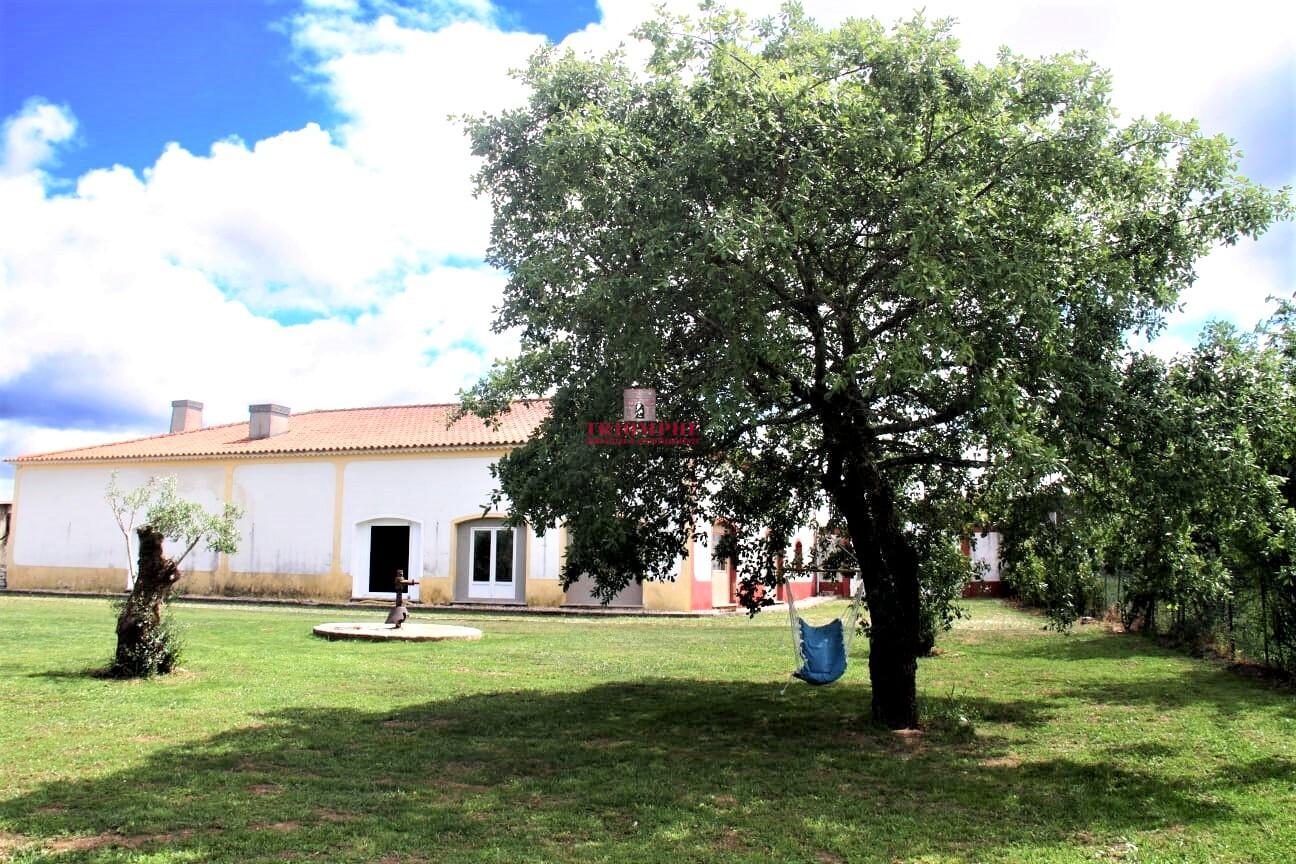 Edifício Comercial em Pombal, próximo à Zona Industrial
