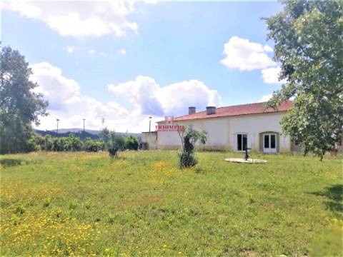 Edifício Comercial em Pombal, próximo à Zona Industrial