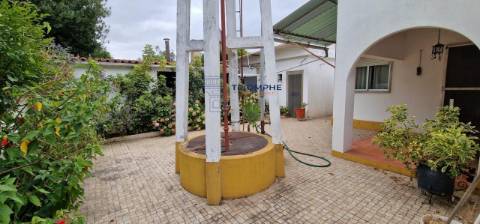 Moradia T4 com terreno, Riachos, Torres Novas