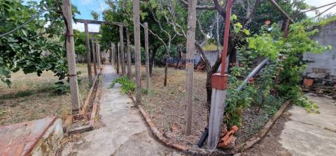 Moradia T4 com terreno, Riachos, Torres Novas