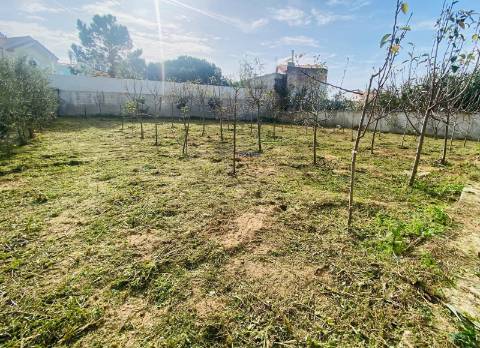 Moradia T2 com piscina, Caldas da Rainha