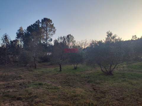 Moradia T3 Recuperar c/ Projeto São Mamede