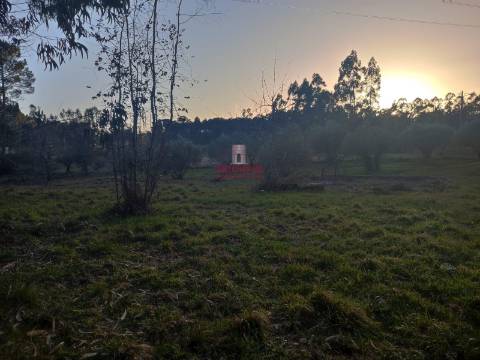 Moradia T3 Recuperar c/ Projeto São Mamede