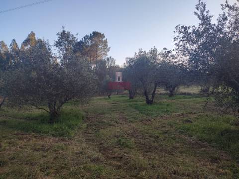 Moradia T3 Recuperar c/ Projeto São Mamede