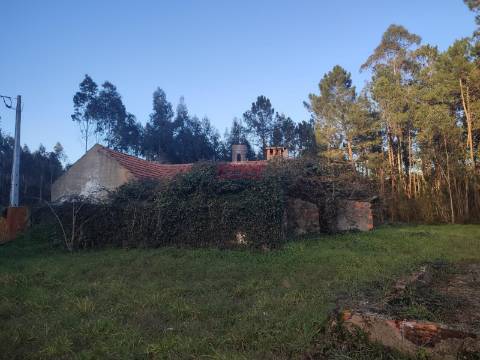 Moradia T3 Recuperar c/ Projeto São Mamede