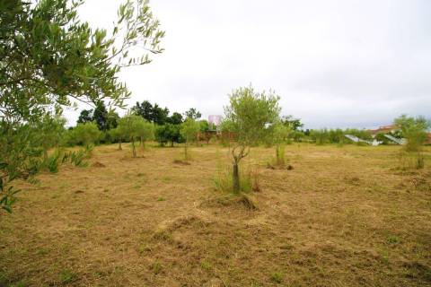 Moradia T4, Soure, Coimbra