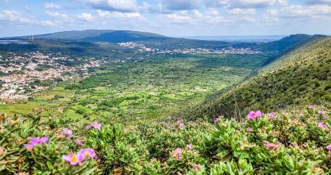 Espaço Comercial no Centro de Porto de Mós