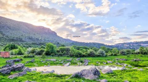 Espaço Comercial no Centro de Porto de Mós