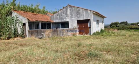 Terreno Urbano com Armazém