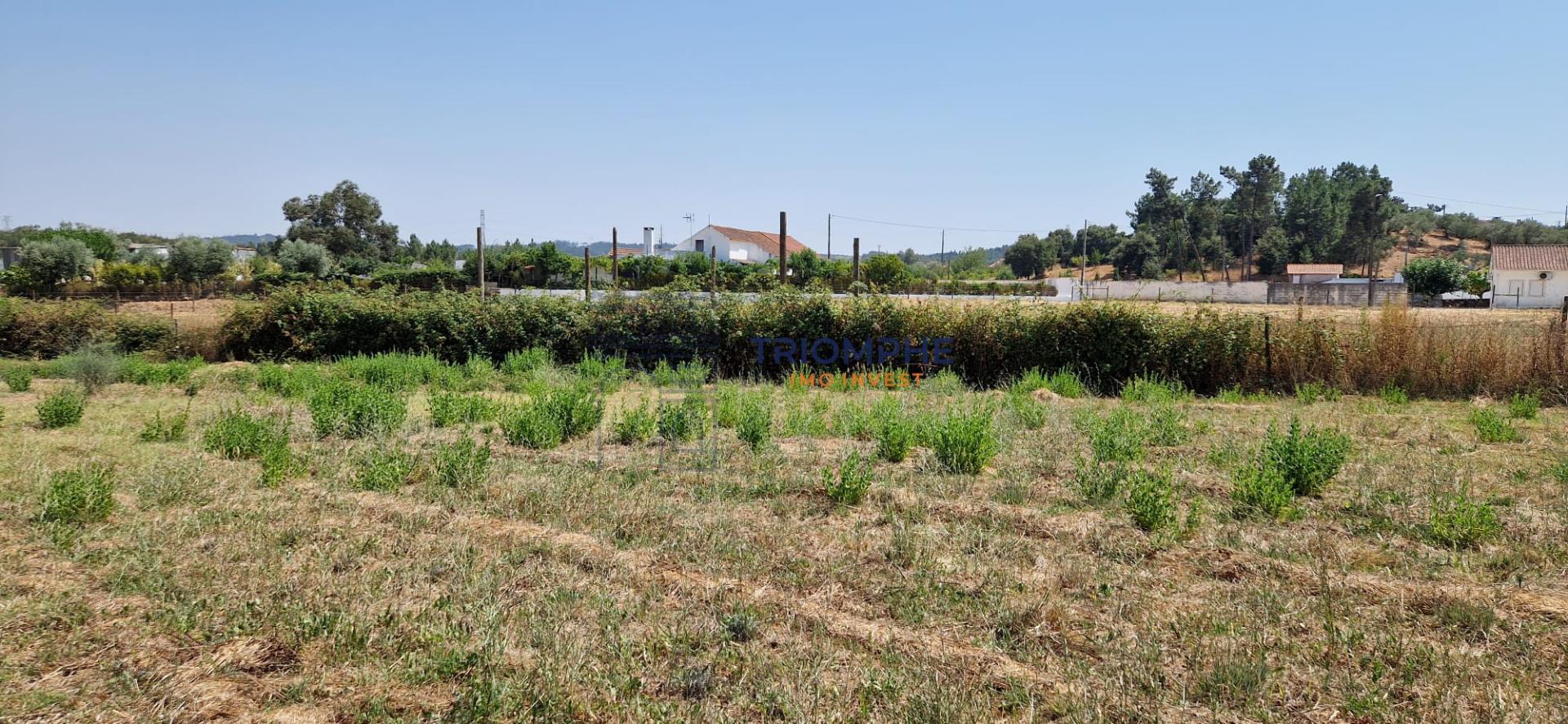 Terreno Urbano com Armazém