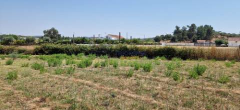 Terreno Urbano com Armazém
