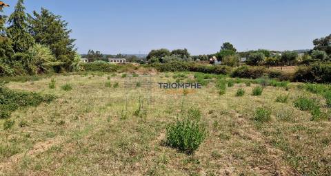 Terreno Urbano com Armazém