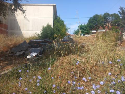 Terreno 471m2 com projeto vista Castelo em  Porto de Mós 