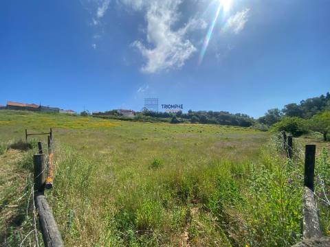 Quinta da Zibreira - Zibreira Project - Oportunidade Única de Investimento