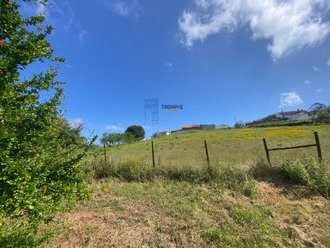 Quinta da Zibreira - Zibreira Project - Oportunidade Única de Investimento