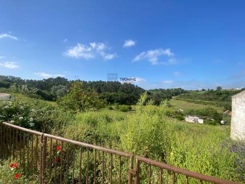 Quinta da Zibreira - Zibreira Project - Oportunidade Única de Investimento