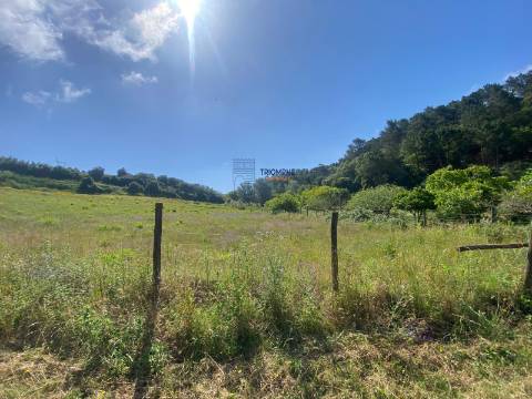 Quinta da Zibreira - Zibreira Project - Oportunidade Única de Investimento