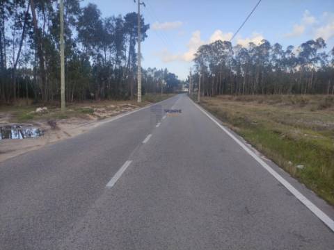 Terreno Rústico com cerca de 4700 m2 na Fonte Santa, Marinha Grande