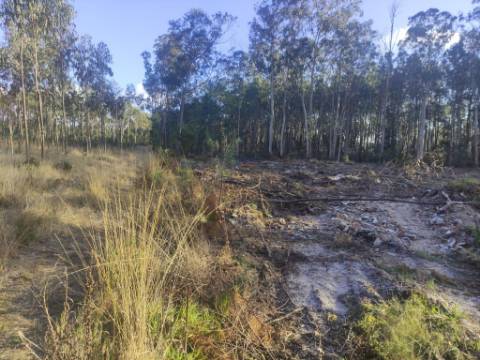 Terreno Rústico com cerca de 4700 m2 na Fonte Santa, Marinha Grande